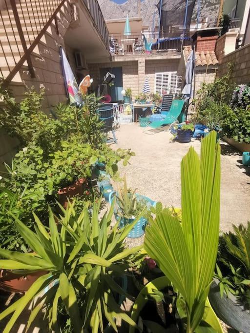Makarska Blue Oasis Apartman 2-6 Екстер'єр фото